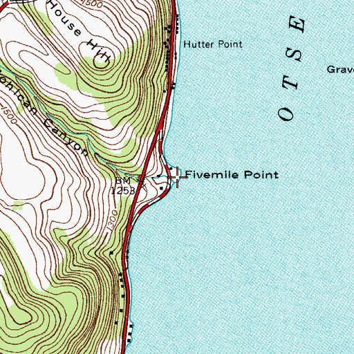 Topographic Map of Fivemile Point, NY