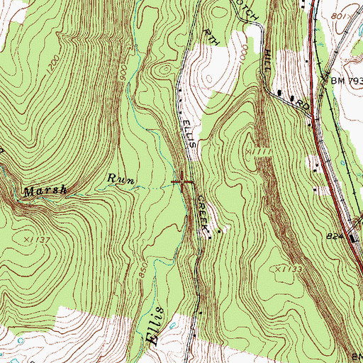 Topographic Map of Flag Marsh Run, NY