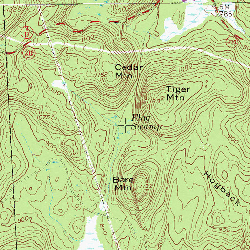 Topographic Map of Flag Swamp, NY