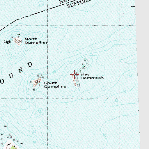 Topographic Map of Flat Hammock, NY