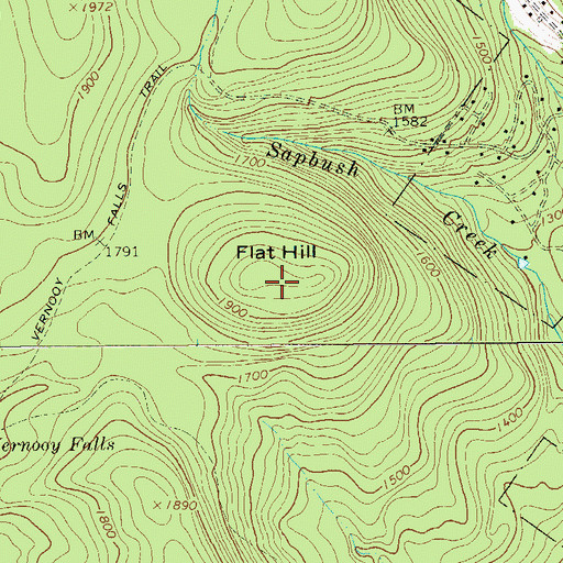 Topographic Map of Flat Hill, NY