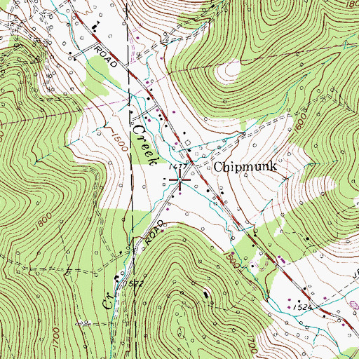 Topographic Map of Flatstone Creek, NY
