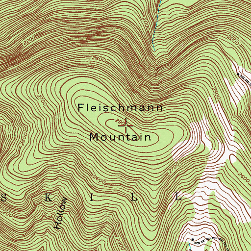 Topographic Map of Fleischmann Mountain, NY