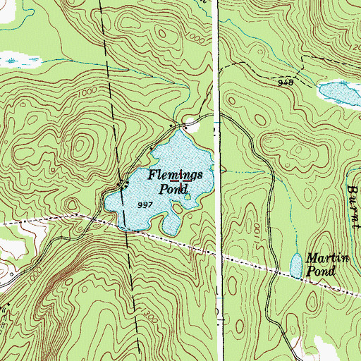 Topographic Map of Flemings Pond, NY