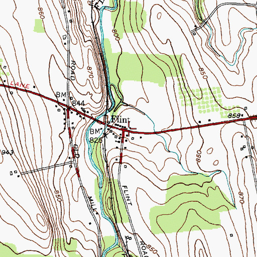 Topographic Map of Flint, NY