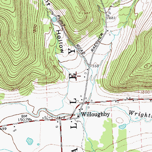 Topographic Map of Flint Hollow, NY