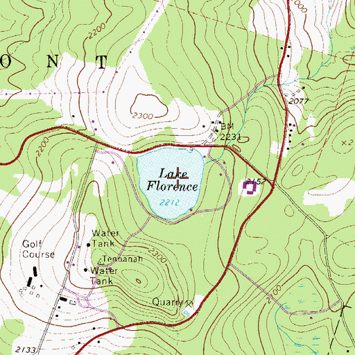 Topographic Map of Lake Florence, NY