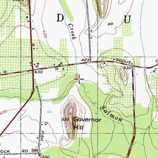Topographic Map of Fly Creek, NY