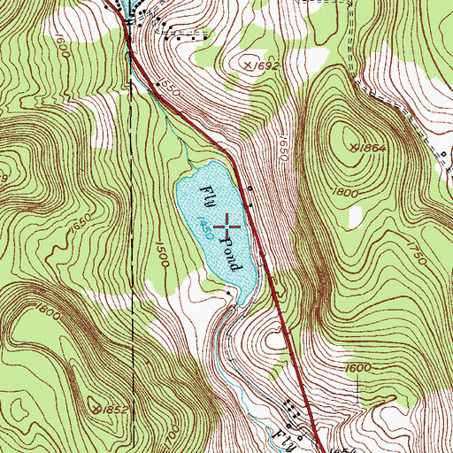 Topographic Map of Fly Pond, NY