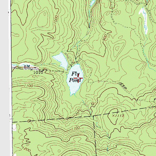 Topographic Map of Fly Pond, NY