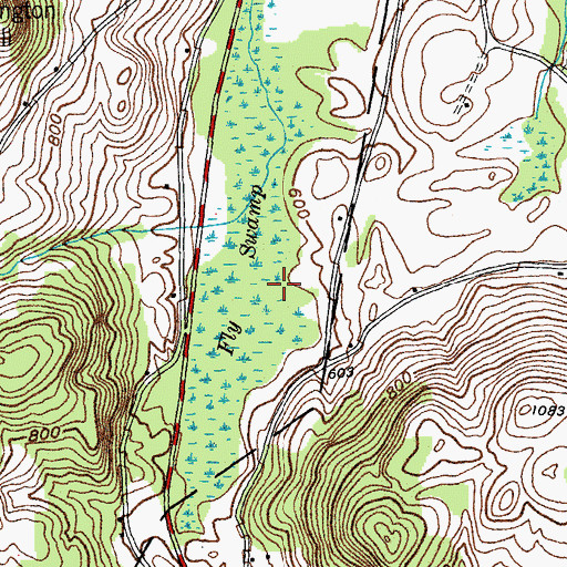 Topographic Map of Fly Swamp, NY