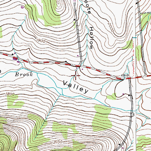 Topographic Map of Foote Hollow, NY