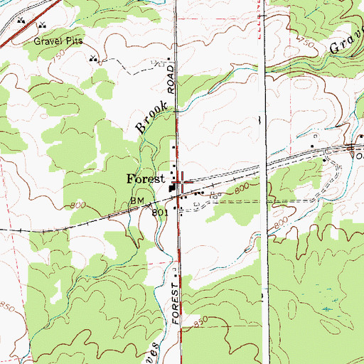 Topographic Map of Forest, NY