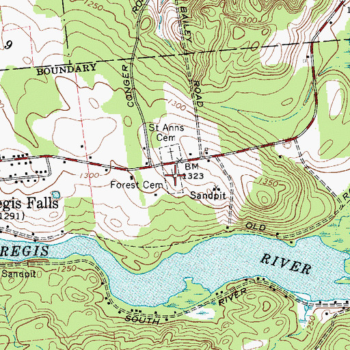 Topographic Map of Forest Cemetery, NY