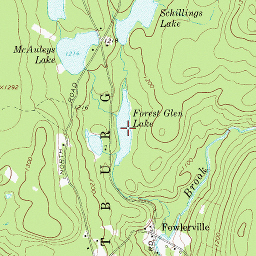 Topographic Map of Forest Glen Lake, NY