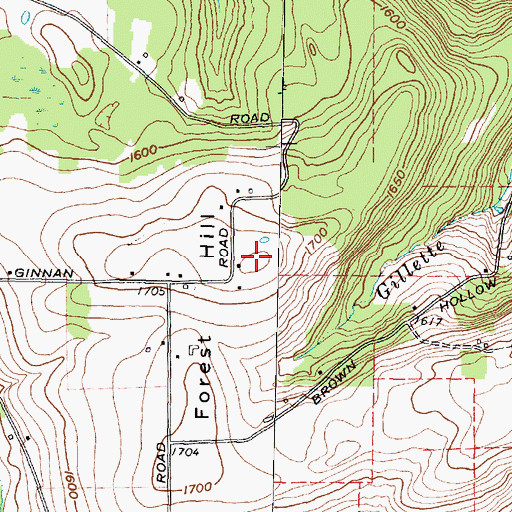 Topographic Map of Forest Hill, NY