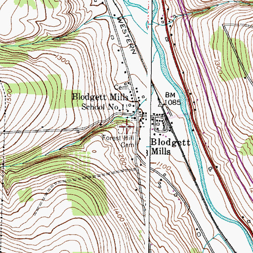 Topographic Map of Forest Hill Cemetery, NY