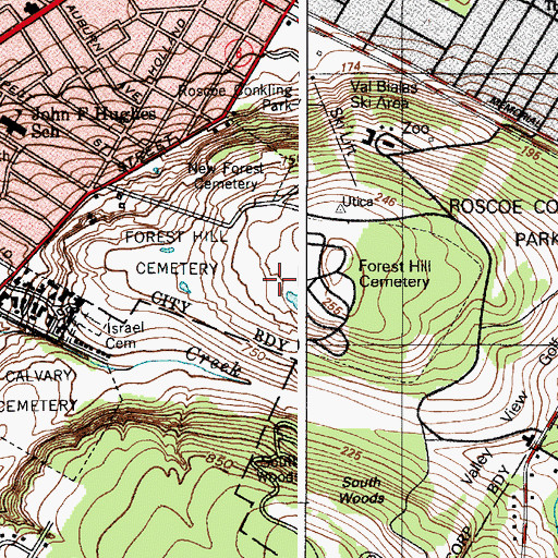 Topographic Map of Forest Hill Cemetery, NY