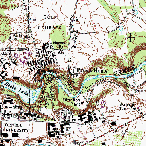 Topographic Map of Forest Home, NY