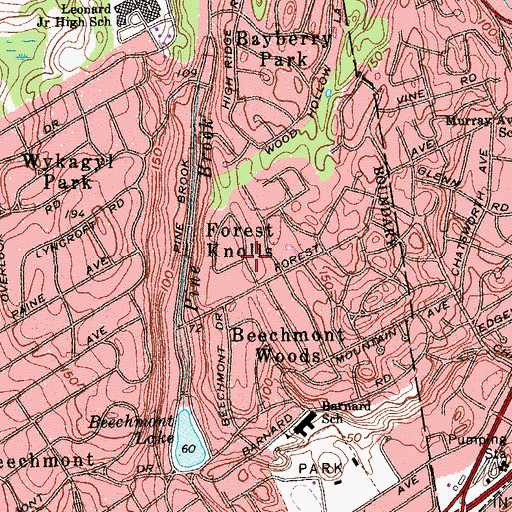 Topographic Map of Forest Knolls, NY