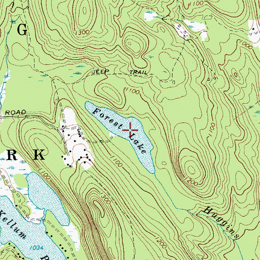 Topographic Map of Forest Lake, NY