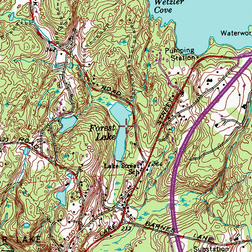 Topographic Map of Forest Lake, NY