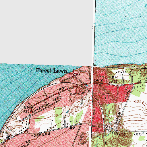 Topographic Map of Forest Lawn, NY