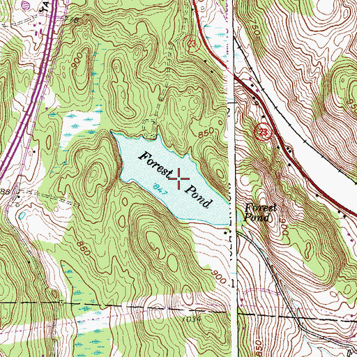 Topographic Map of Forest Pond, NY