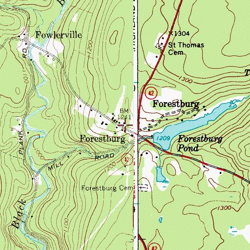 Topographic Map of Forestburg, NY