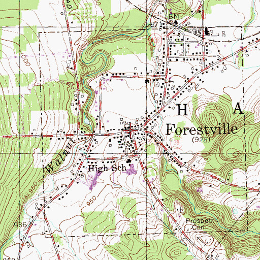 Topographic Map of Forestville, NY