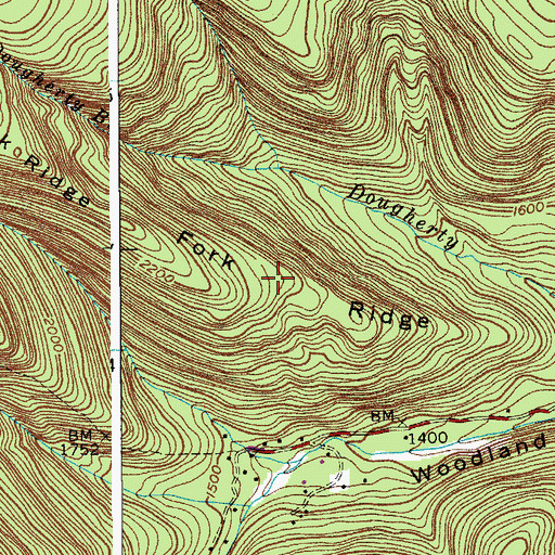 Topographic Map of Fork Ridge, NY