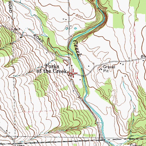 Topographic Map of Forks of the Creek, NY