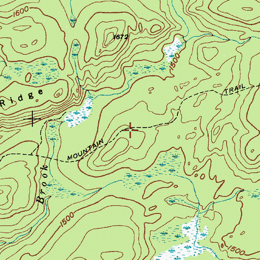 Topographic Map of Forty Mountain Trail, NY
