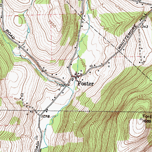 Topographic Map of Foster, NY
