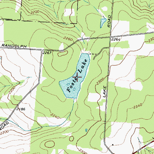 Topographic Map of Foster Lake, NY