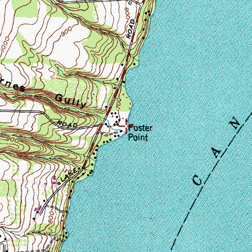 Topographic Map of Foster Point, NY