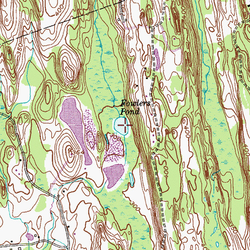 Topographic Map of Fowlers Pond, NY