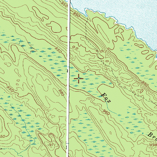 Topographic Map of Fox Brook, NY