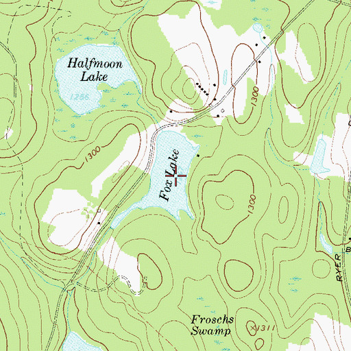 Topographic Map of Fox Lake, NY