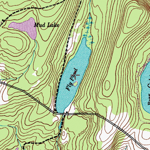 Topographic Map of Fly Pond, NY