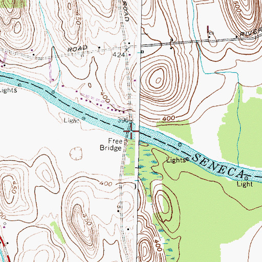 Topographic Map of Free Bridge, NY