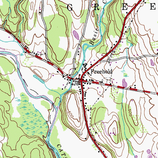 Topographic Map of Freehold, NY