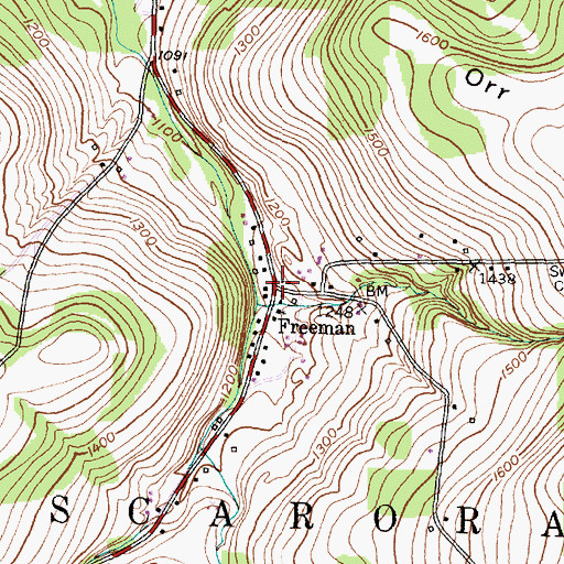 Topographic Map of Freeman, NY
