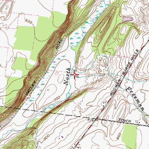Topographic Map of Freeman Creek, NY