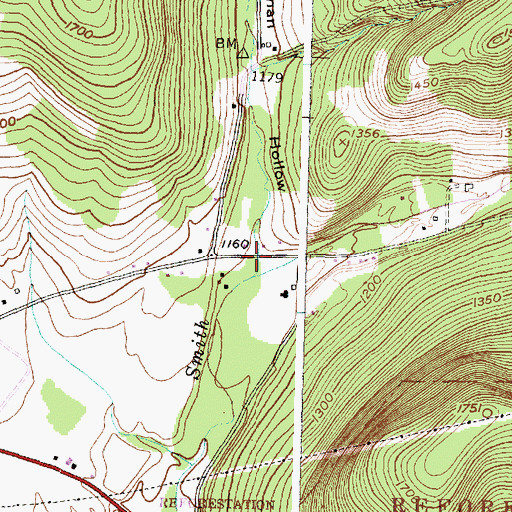Topographic Map of Freeman Hollow, NY