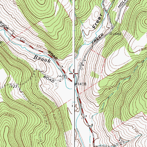 Topographic Map of Freer Hollow, NY