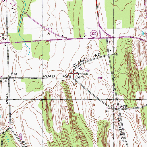Topographic Map of French Cemetery, NY
