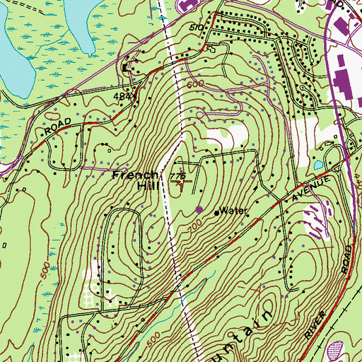Topographic Map of French Hill, NY