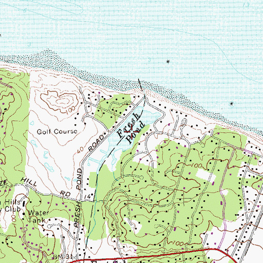 Topographic Map of Fresh Pond, NY