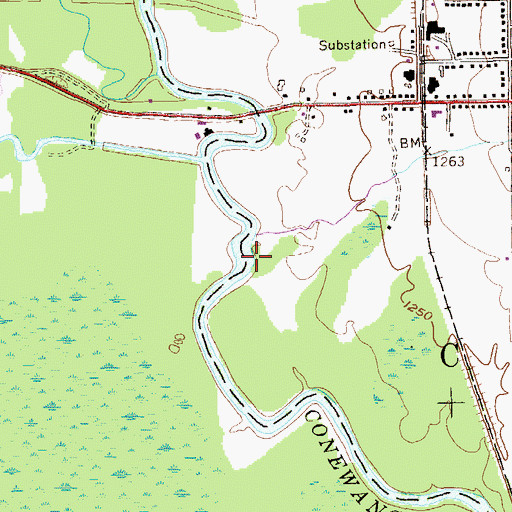 Topographic Map of Frews Run, NY